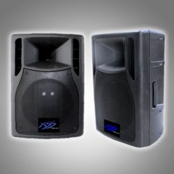 12" POWER SPEAKER CABINET, BATTERY AND UHF